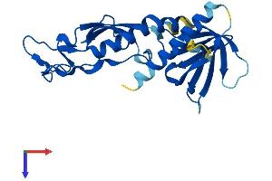 AlphaFold protein structure predicition of Human Recombinant ZFYVE21 Protein, UniprotID Q9BQ24