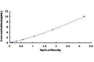 ELISA image for Annexin A5 (ANXA5) ELISA Kit (ABIN416153)