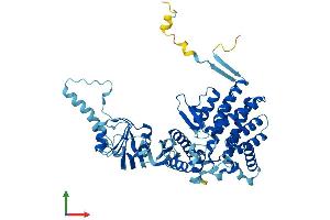 AlphaFold protein structure predicition of Human Recombinant TCP1 Protein, UniprotID P17987