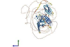 AlphaFold protein structure predicition of Human Recombinant MYRF Protein, UniprotID Q9Y2G1