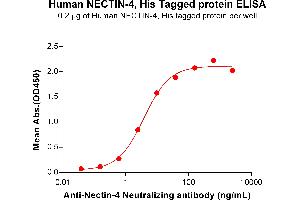 ELISA plate pre-coated by 2 μg/mL (100 μL/well) Human NECTIN-4 Protein, His Tag (ABIN6964194, ABIN7042647 and ABIN7042648) can bind Anti-Nectin-4 Neutralizing antibody ABIN7477991 and ABIN7490922 in a linear range of 0.