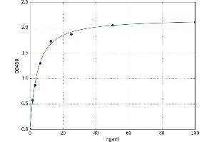 Hepcidin 25 (HEPC25) ELISA Kit