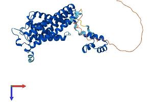 AlphaFold protein structure predicition of Mouse Recombinant Cers6 Protein, UniprotID Q8C172