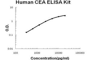 Human CEA PicoKine ELISA Kit standard curve
