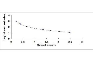 Typical standard curve (Galanin Kit ELISA)