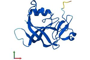 AlphaFold protein structure predicition of Mouse Recombinant Ggact Protein, UniprotID Q923B0