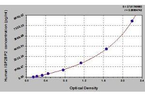 Typical standard curve (IGF2BP2 Kit ELISA)