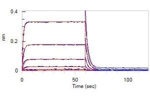 Loaded SARS-CoV-2 S protein RBD, Fc Tag (Cat.