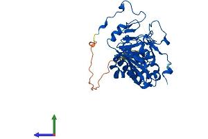 AlphaFold protein structure predicition of Human Recombinant ABO Protein, UniprotID P16442