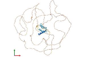 AlphaFold protein structure predicition of Mouse Recombinant Tchhl1 Protein, UniprotID Q9D3P1