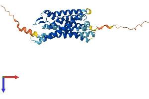 AlphaFold protein structure predicition of Mouse Recombinant Gpr17 Protein, UniprotID Q6NS65