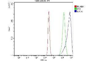 Flow Cytometry analysis of K562 cells using anti-EIF3C antibody (ABIN7602528). (EIF3C anticorps  (AA 81-637))