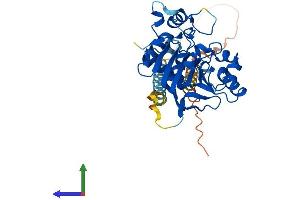 AlphaFold protein structure predicition of Mouse Recombinant St6galnac4 Protein, UniprotID Q9R2B6