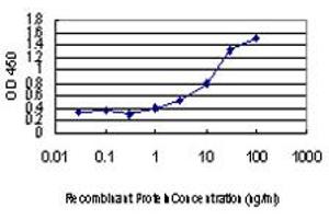 Detection limit for recombinant GST tagged MKNK1 is approximately 1ng/ml as a capture antibody. (MKNK1 anticorps  (AA 1-465))