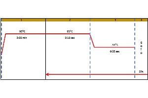 Polymerase Chain Reaction (PCR) image for Vascular Endothelial Growth Factor (VEGF) IQ-ELISA Kit (ABIN5680029)