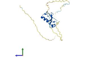 AlphaFold protein structure predicition of Mouse Recombinant Rnf4 Protein, UniprotID Q9QZS2