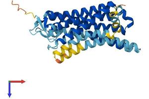 AlphaFold protein structure predicition of Human Recombinant OR7A17 Protein, UniprotID O14581