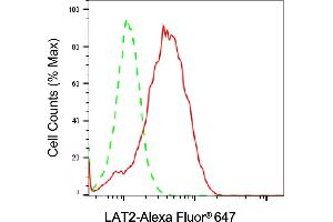 Flow cytometric analysis of LAT2 expression in Raji cells using LAT2 antibody (ABIN7799275), 1:2,000).