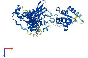 AlphaFold protein structure predicition of Mouse Recombinant Mocs3 Protein, UniprotID A2BDX3