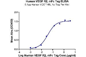 Immobilized Human VEGF165 1 μg/mL (100 μL/Well) on the plate.