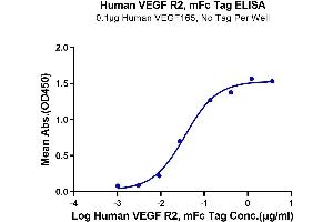 Immobilized Human VEGF165 1 μg/mL (100 μL/Well) on the plate. (VEGFR2/CD309 Protein (mFc Tag))