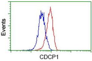 Image no. 2 for anti-CUB Domain Containing Protein 1 (CDCP1) antibody (ABIN1497411) (CDCP1 anticorps)