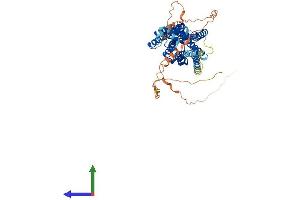 AlphaFold protein structure predicition of Human Recombinant OPN4 Protein, UniprotID Q9UHM6