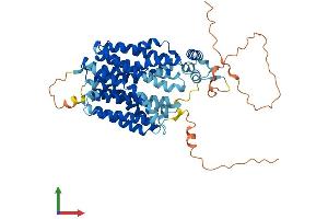 AlphaFold protein structure predicition of Human Recombinant SVOP Protein, UniprotID Q8N4V2