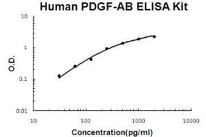 Human PDGF-AB PicoKine ELISA Kit standard curve (PDGF-AB Heterodimer Kit ELISA)