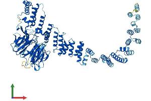 AlphaFold protein structure predicition of Human Recombinant VPS16 Protein, UniprotID Q9H269