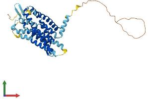 AlphaFold protein structure predicition of Mouse Recombinant Hcar1 Protein, UniprotID Q8C131
