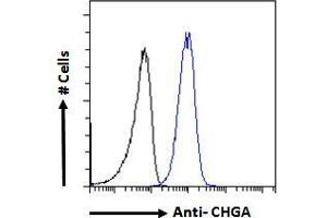 ABIN185645 Flow cytometric analysis of paraformaldehyde fixed A549 cells (blue line), permeabilized with 0. (Chromogranin A anticorps  (Internal Region))
