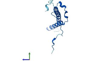 AlphaFold protein structure predicition of Mouse Recombinant Ndufc2 Protein, UniprotID Q9CQ54