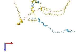 AlphaFold protein structure predicition of Human Recombinant COPRS Protein, UniprotID Q9NQ92