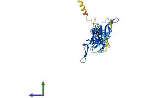 AlphaFold protein structure predicition of Mouse Recombinant Kcnj1 Protein, UniprotID O88335