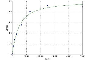 Chemokine (C Motif) Receptor 1 (XCR1) ELISA Kit