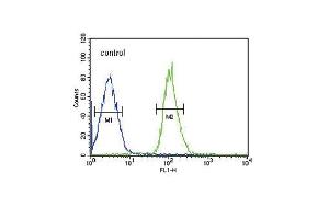 FGFR1 Antibody i FC analysis of MCF-7 cells (bottom histogram) compared to a negative control cell (top histogram). (FGFR1 anticorps)