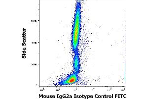 Flow cytometry surface nonspecific staining pattern of human peripheral whole blood stained using mouse IgG2a Isotype control (MOPC-173) FITC antibody (concentration in sample 9 μg/mL). (Souris IgG2a isotype control (FITC))