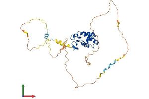 AlphaFold protein structure predicition of Human Recombinant TOB1 Protein, UniprotID P50616