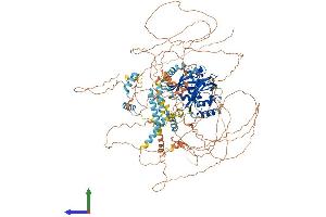 AlphaFold protein structure predicition of Mouse Recombinant Per2 Protein, UniprotID O54943