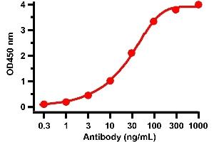 ELISA Validation with SARS-CoV-2 (COVID-19) Spike S1 Recombinant ProteinAntibodies: SARS-CoV-2 (COVID-19) Spike antibody (cleavage site), ABIN6952962 (1 μg/mL).