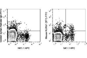 C57Bl/6 splenocytes were stained with APC Anti-Mouse NK1. (KLRG1 anticorps  (FITC))