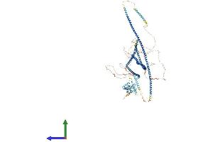 AlphaFold protein structure predicition of Mouse Recombinant Ccdc88b Protein, UniprotID Q4QRL3