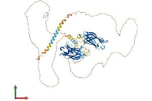 AlphaFold protein structure predicition of Human Recombinant SYT16 Protein, UniprotID Q17RD7