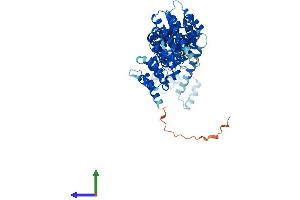 AlphaFold protein structure predicition of Mouse Recombinant Nelfb Protein, UniprotID Q8C4Y3