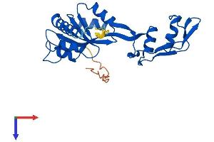 AlphaFold protein structure predicition of Human Recombinant MRTO4 Protein, UniprotID Q9UKD2