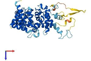 AlphaFold protein structure predicition of Human Recombinant TBC1D13 Protein, UniprotID Q9NVG8