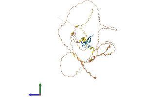 AlphaFold protein structure predicition of Human Recombinant FAM90A1 Protein, UniprotID Q86YD7