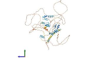 AlphaFold protein structure predicition of Human Recombinant ZMAT1 Protein, UniprotID Q5H9K5