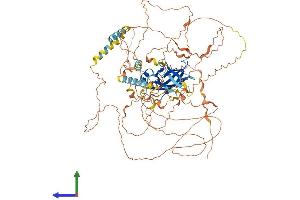 AlphaFold protein structure predicition of Mouse Recombinant Ppp1r3f Protein, UniprotID Q9JIG4